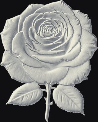 Rose in Full Bloom 3D relief heightmap preview for CNC carving