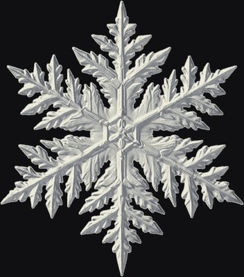 Snowflake 3D relief heightmap preview for CNC carving